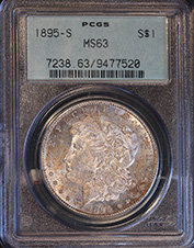 Morgan 1895 s