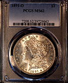 Morgan 1891 o