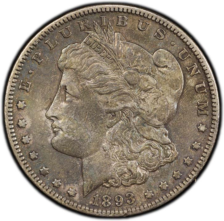 Morgan 1893