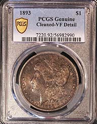 Morgan 1893