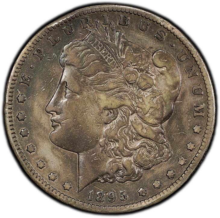 Morgan 1895 s